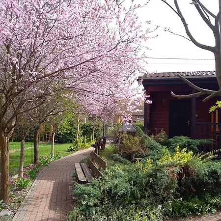 Muszelka אכסניה *