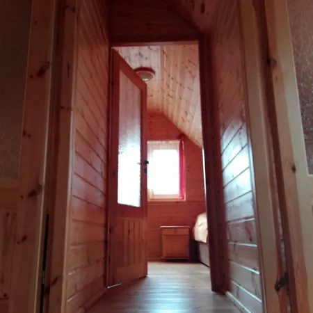 Muszelka Stegna (Pomerania)