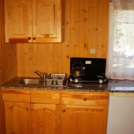 Muszelka Stegna (Pomerania)