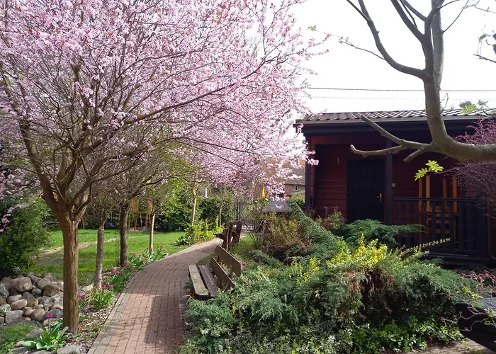 Muszelka אכסניה *