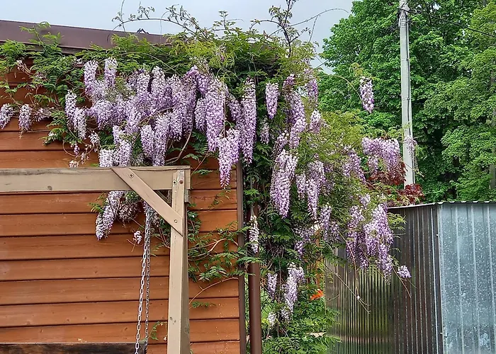 Muszelka Gerendaház